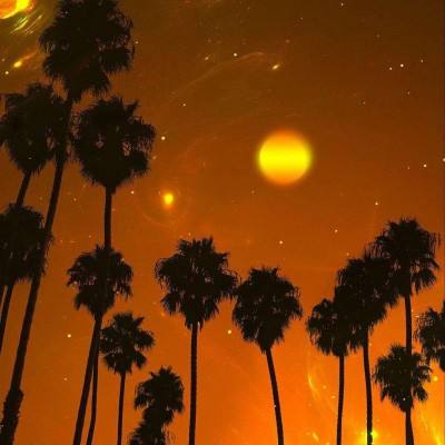 开元app下载手机版