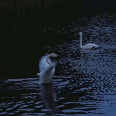 上下分的捕鱼app下载手机版