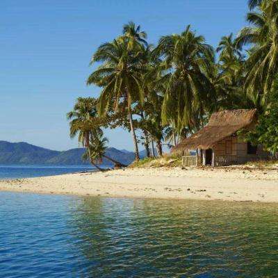 竞彩足球app官网下载